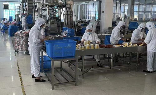 厂二代的新鲜产业 15人电商团队如何在淘特线上零售过亿食品销售