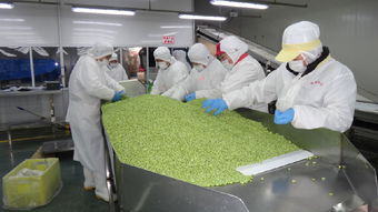 江苏银树食品预计全年销售25000吨，展现强劲发展势头